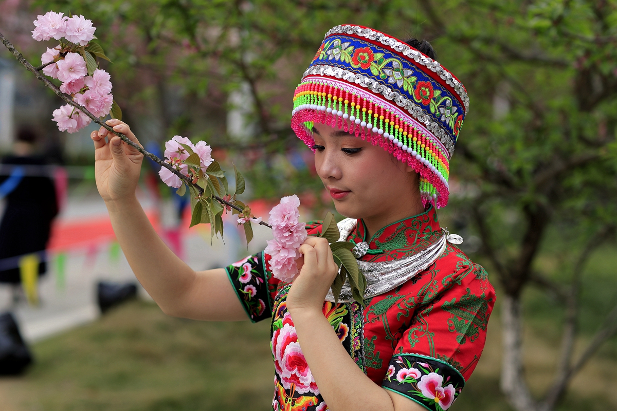 吉大(张家界学院)樱花节