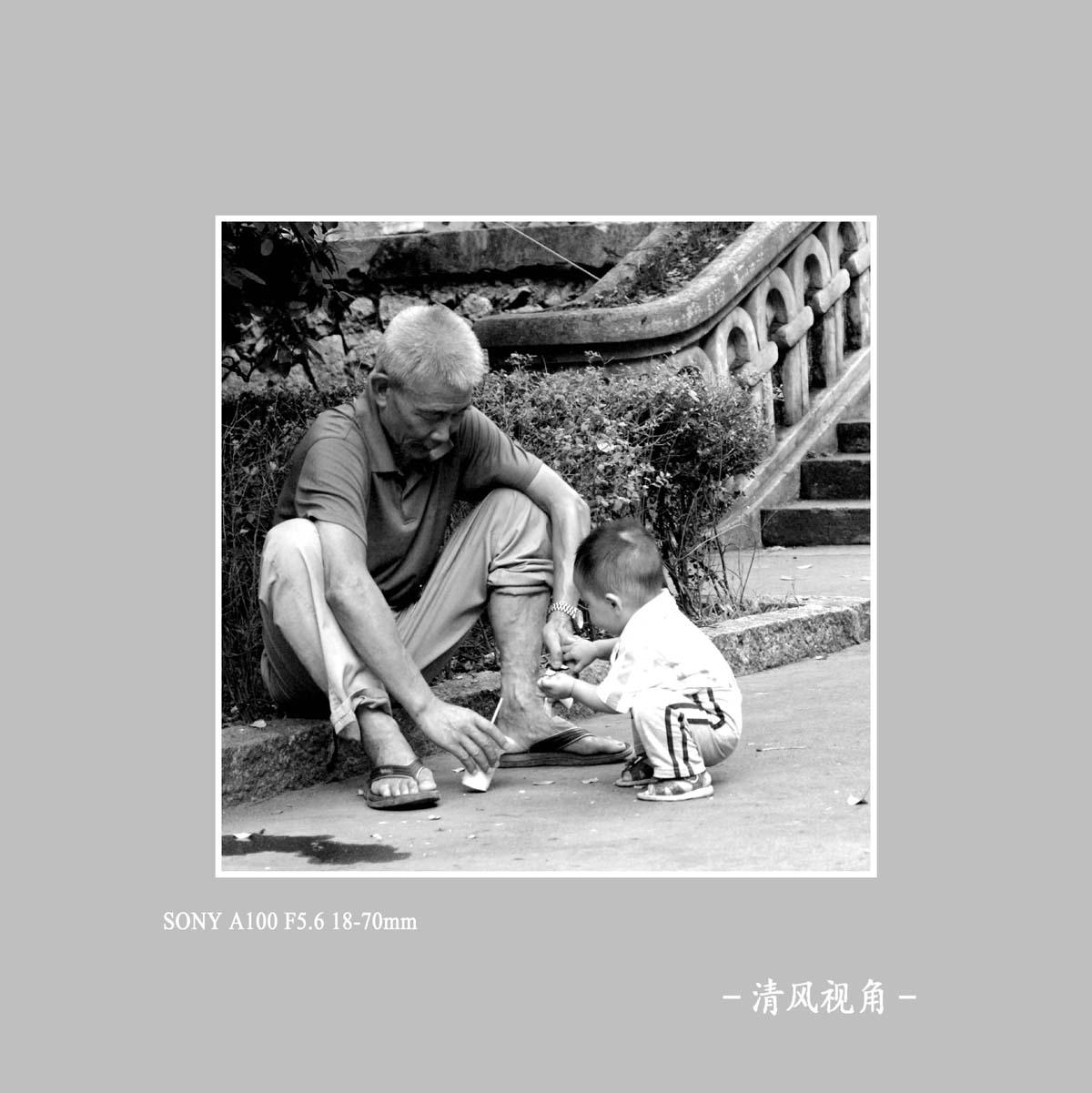 青田扫街_1387