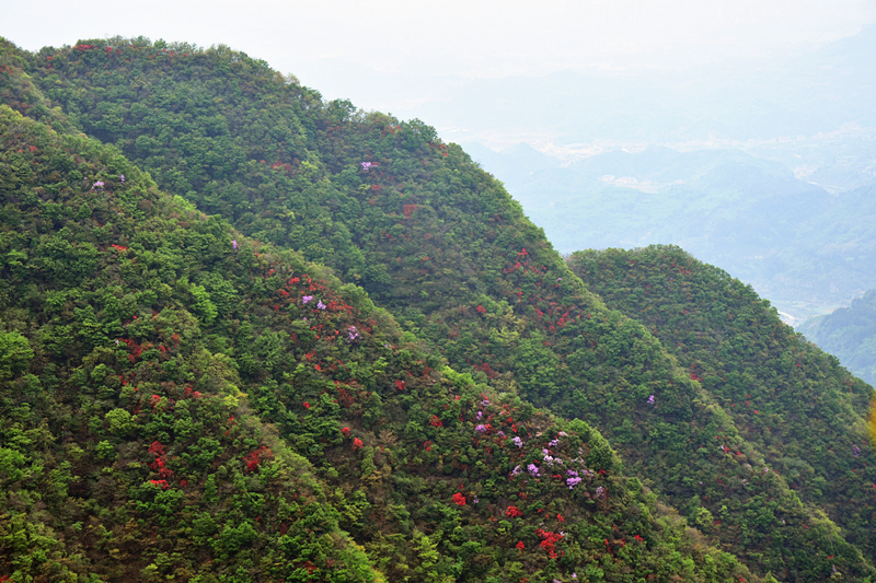 春暖花开