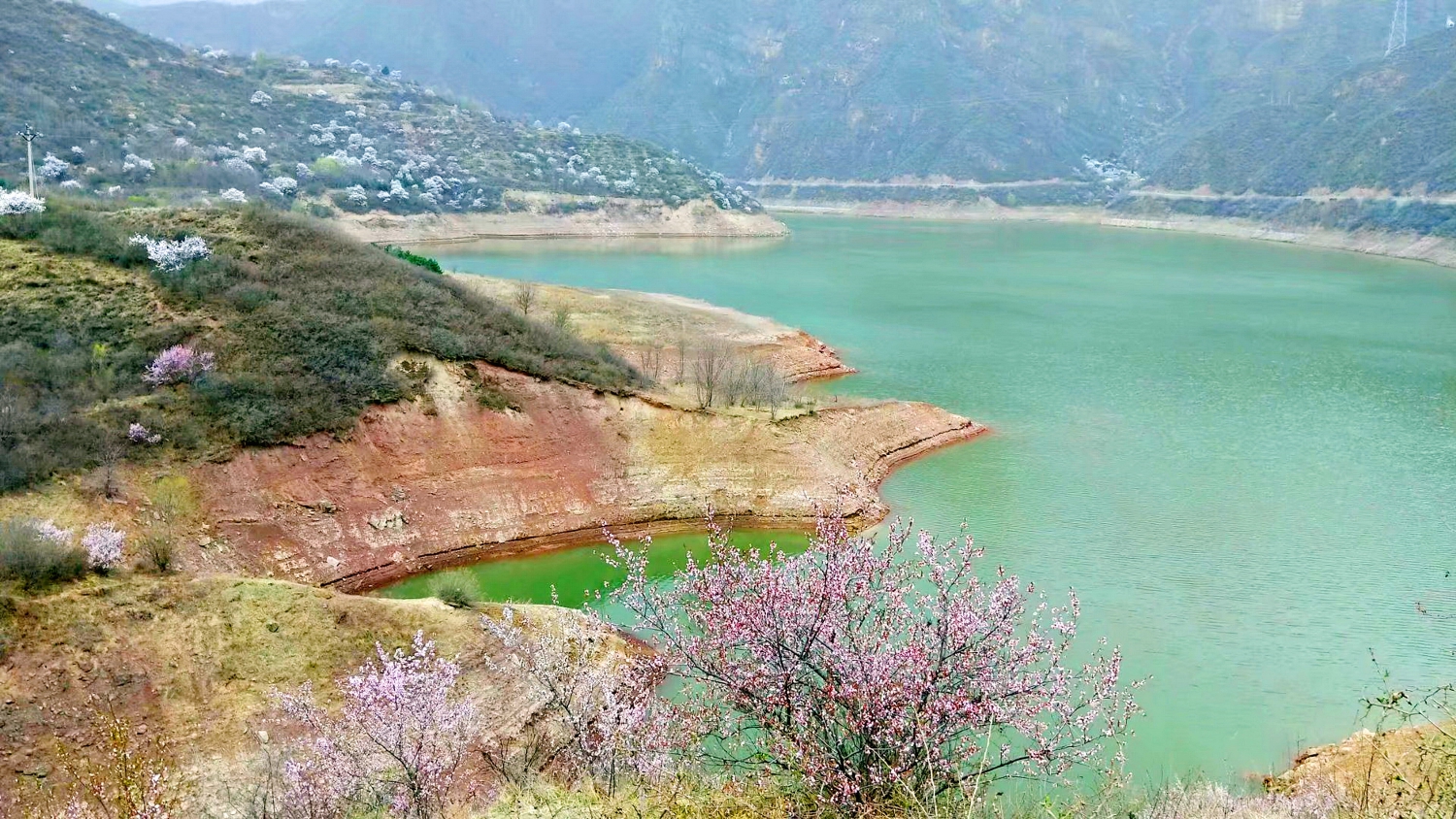 人间四月芳菲尽