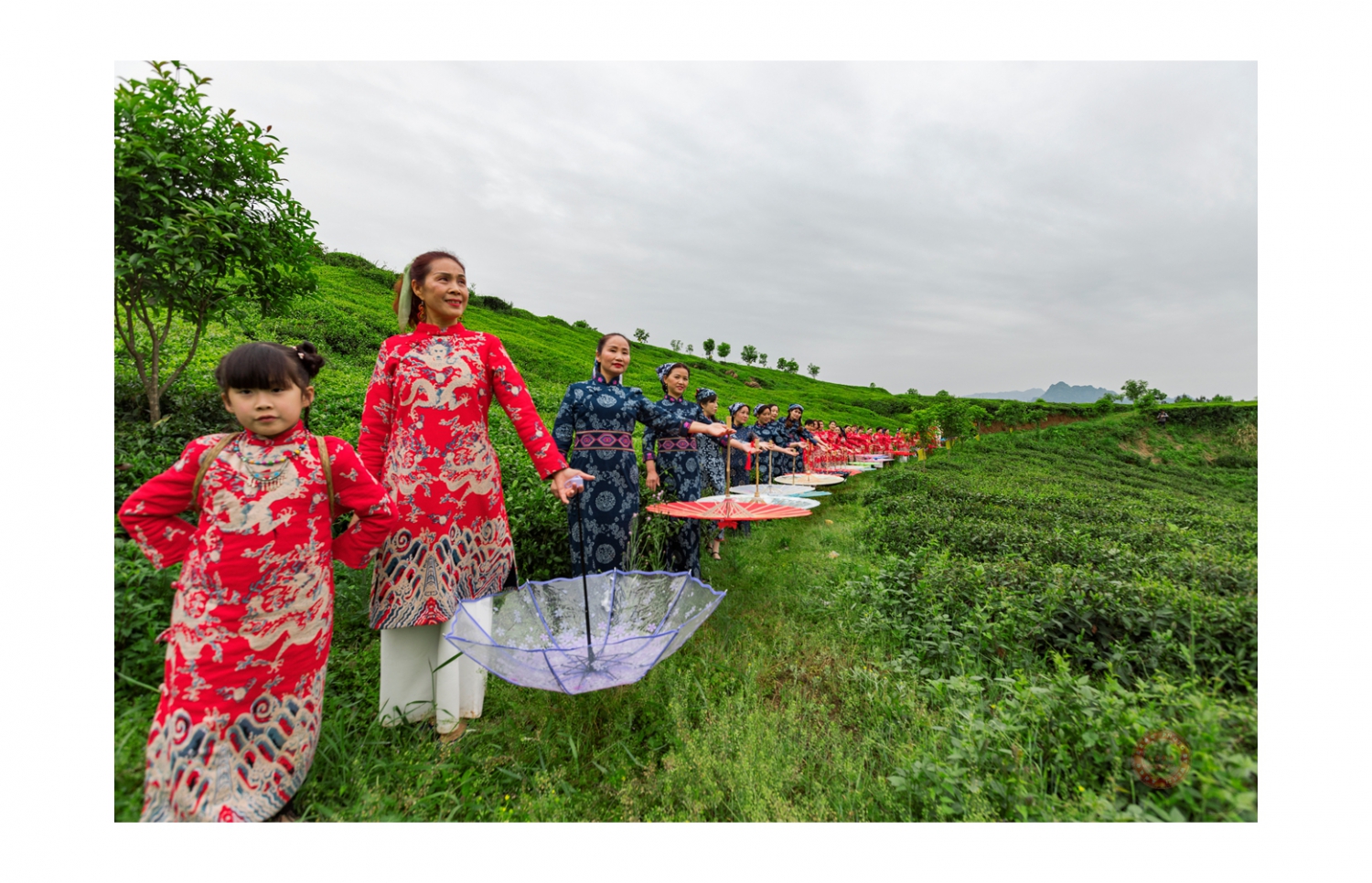 茶园旗袍秀