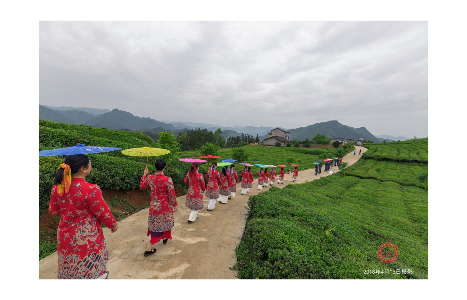 茶园旗袍秀2