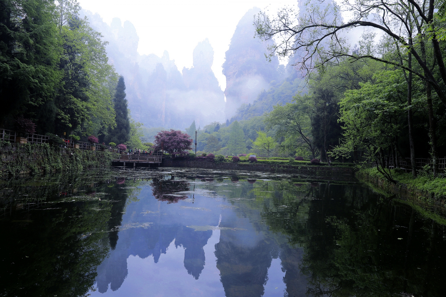 张家界森林公园