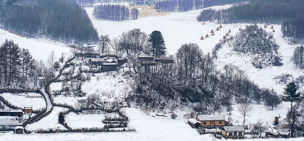 关东雪村-----魅力松岭