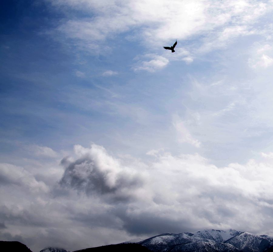 鹰击长空