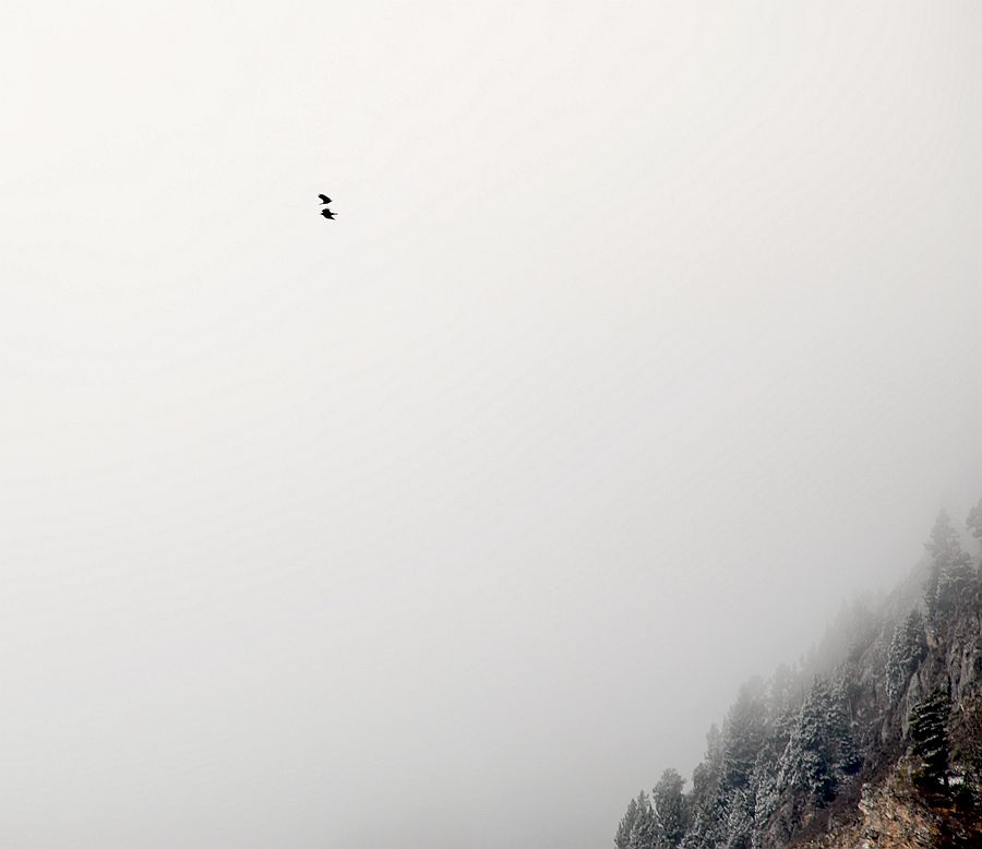 临空飞翔