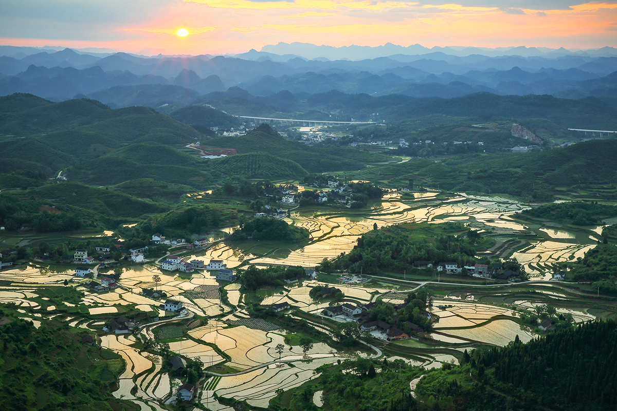 家园