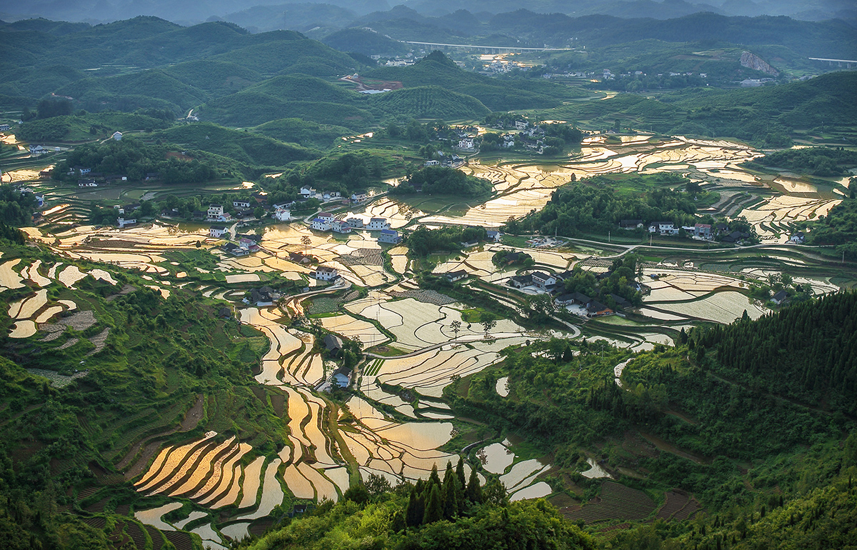 家园