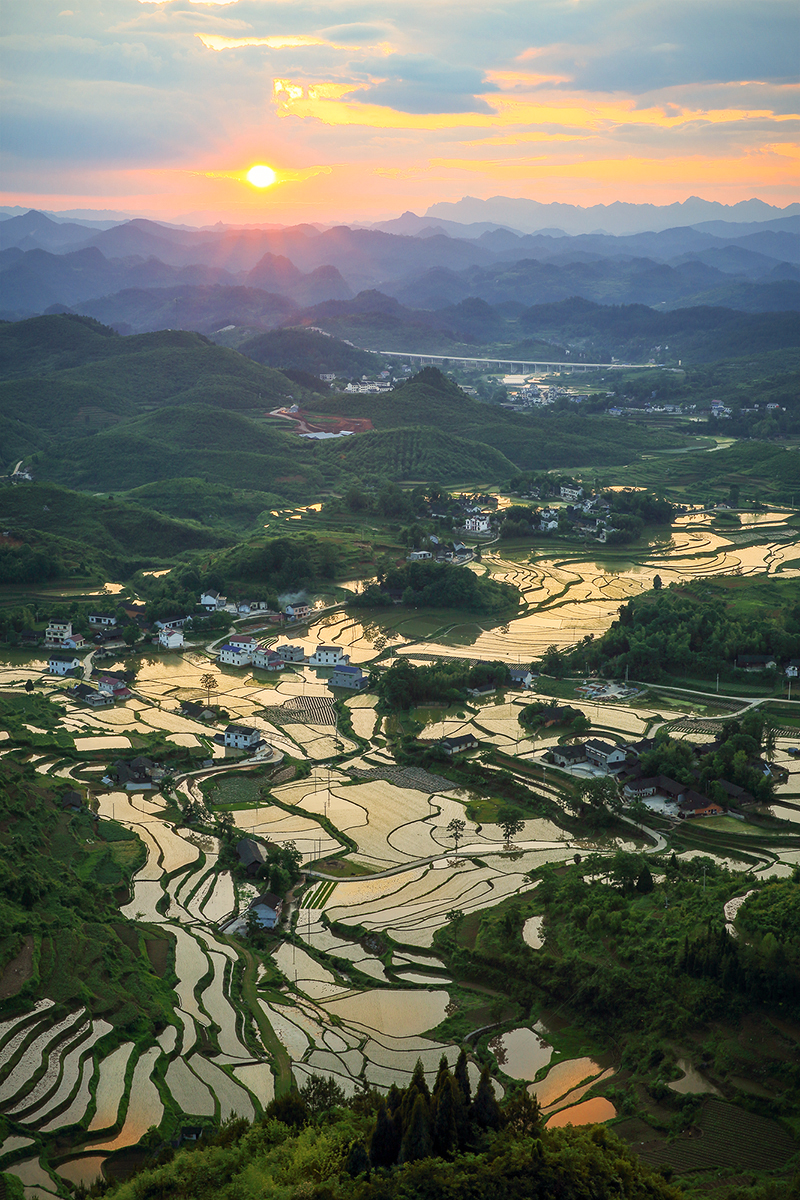 多彩的家园