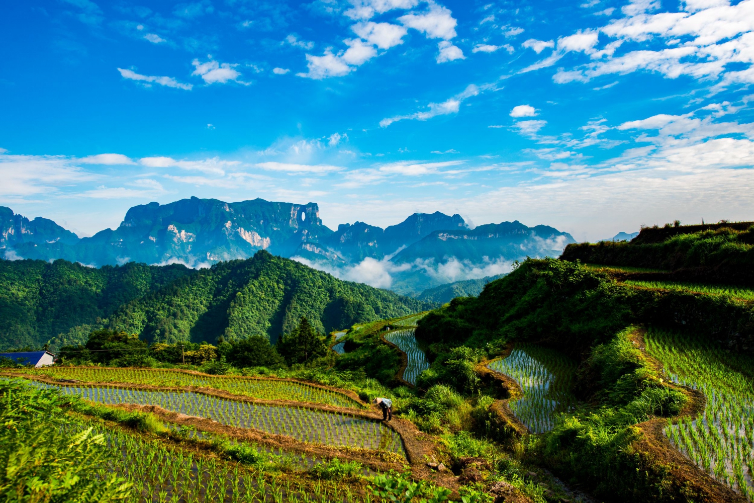 山界田园