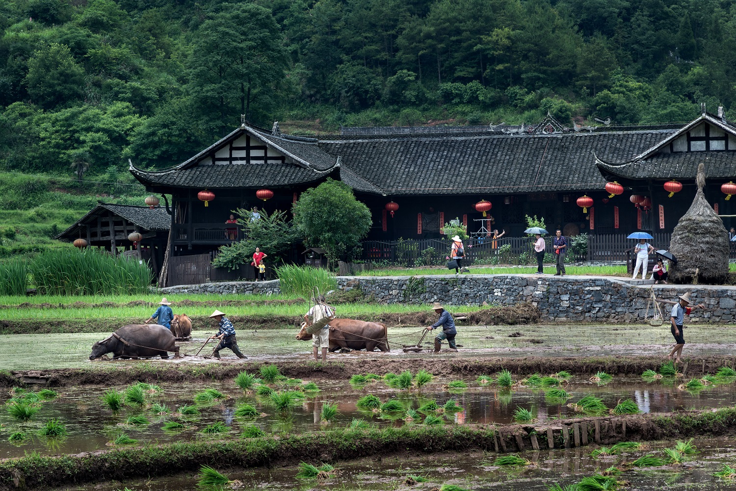 糊仓-犁田