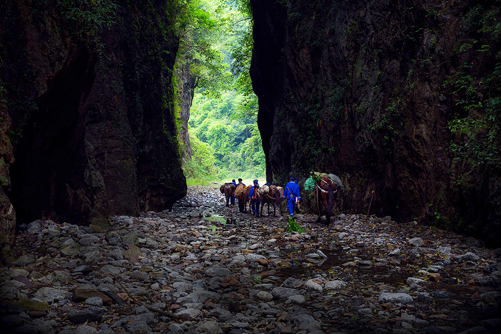 走出山门