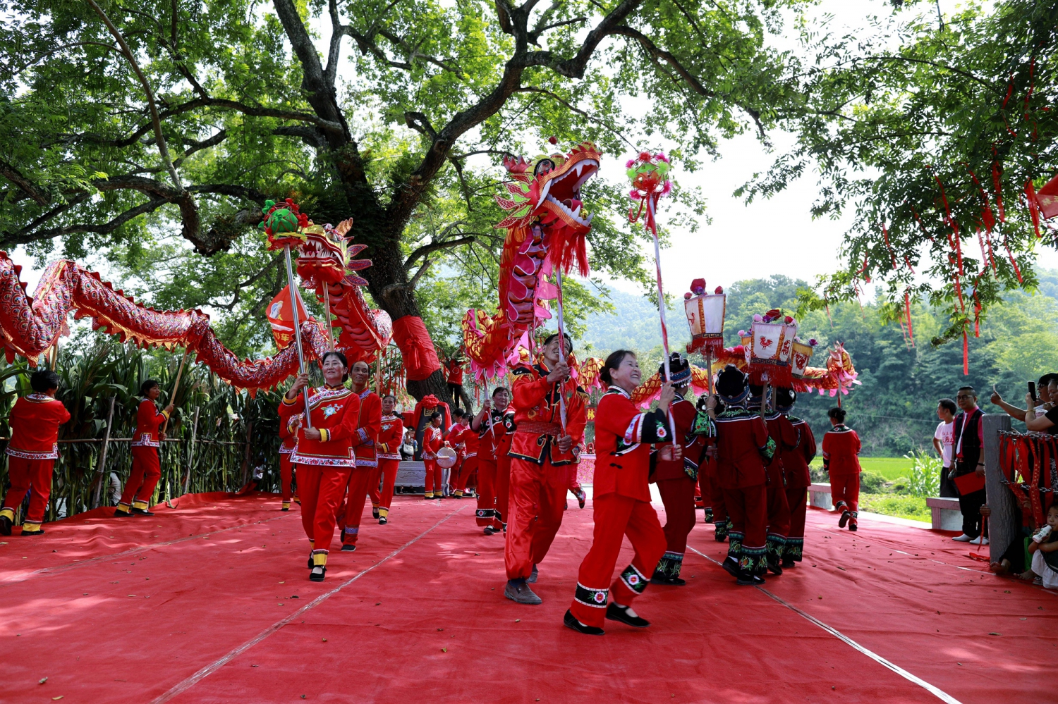 永定区源古坪镇红土坪柳林揭碑典礼(二)
