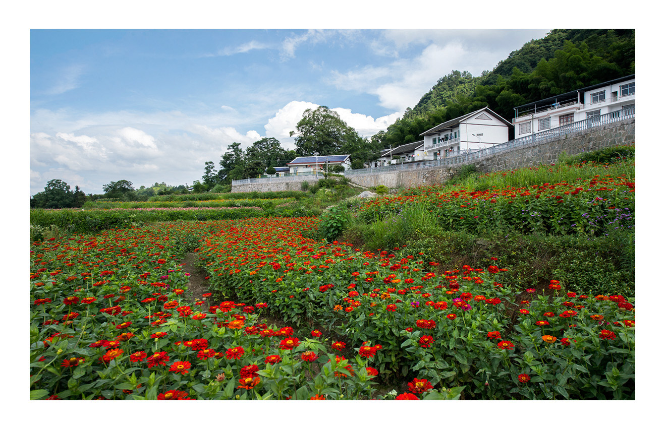 新农村