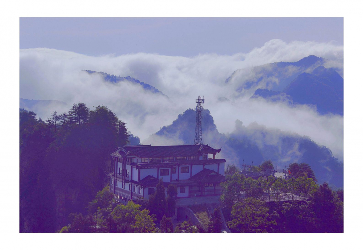 天子山云海