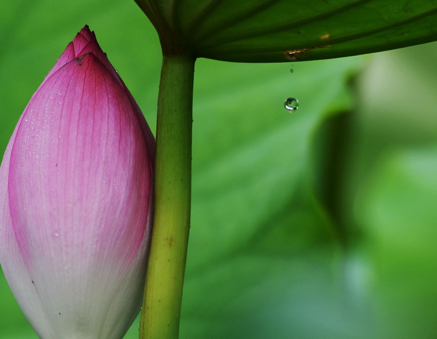 滴水情谊