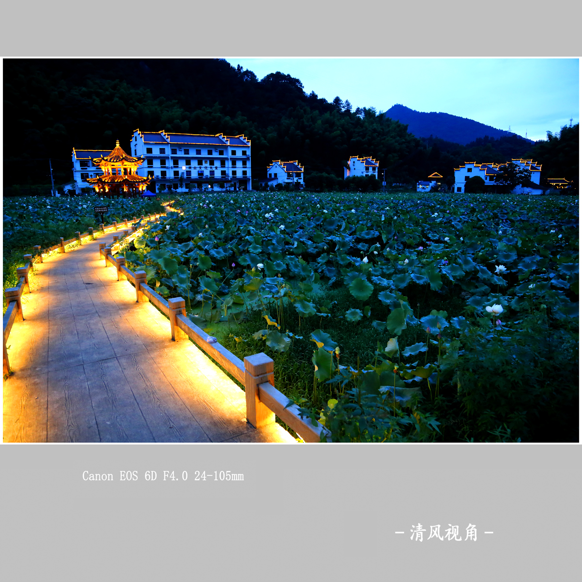 利山村_3648