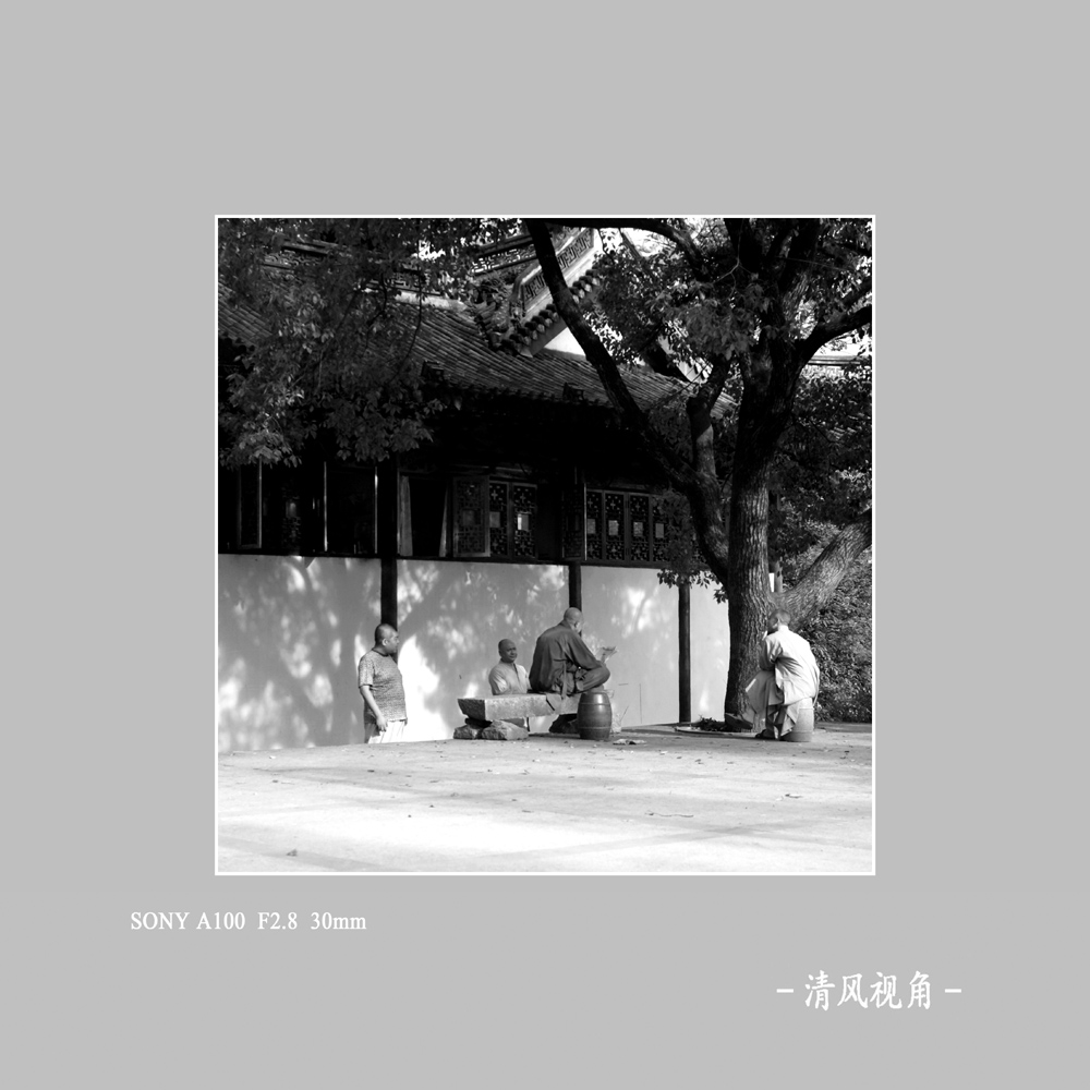 身边随拍_5307