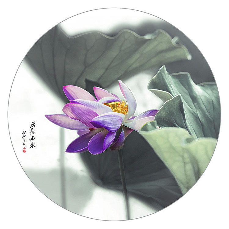 为荷而来