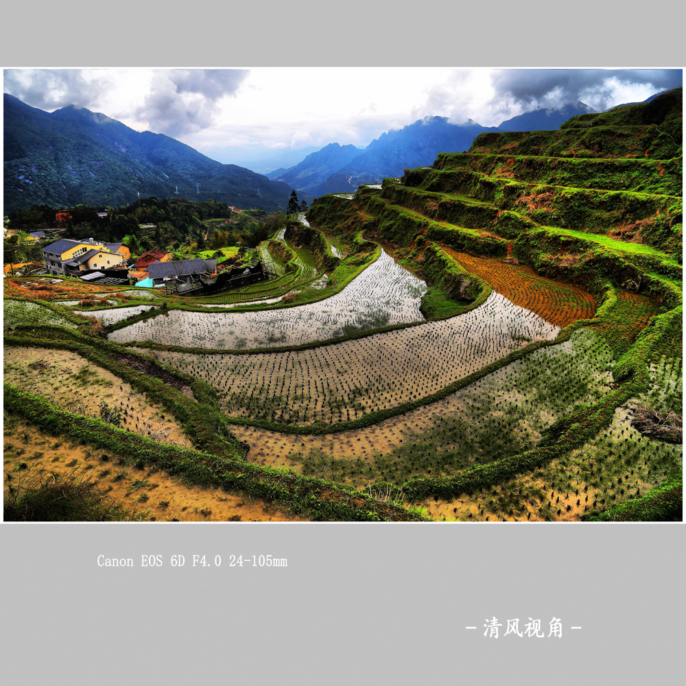 赵善村_2239