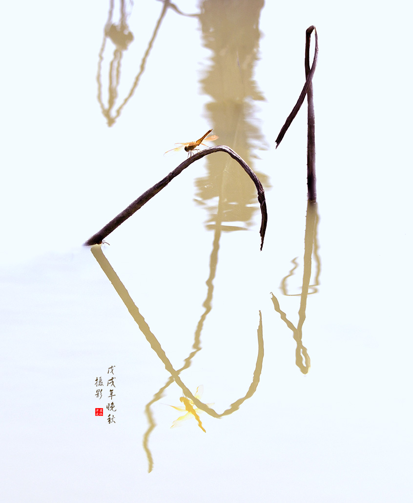 无题