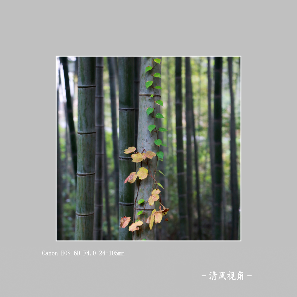 秋色_8802