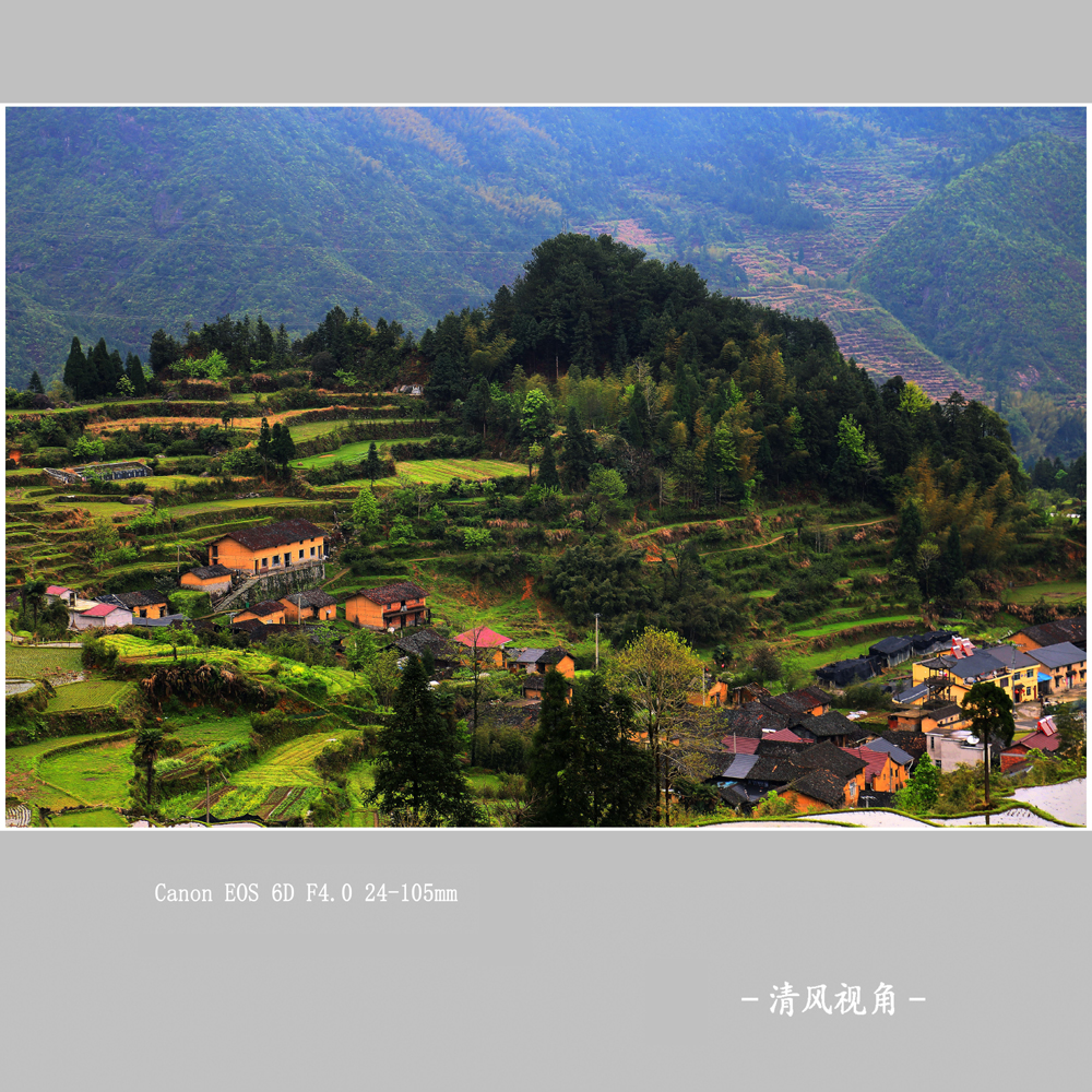 赵善村_2218