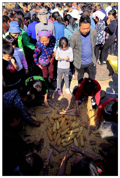 比赛开始