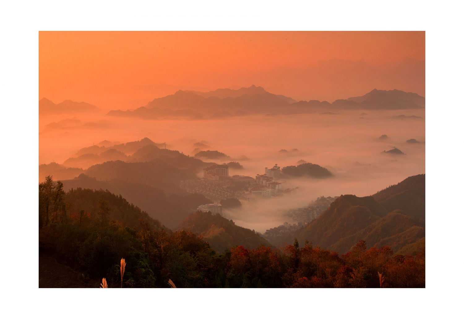 仙境—碧桂园