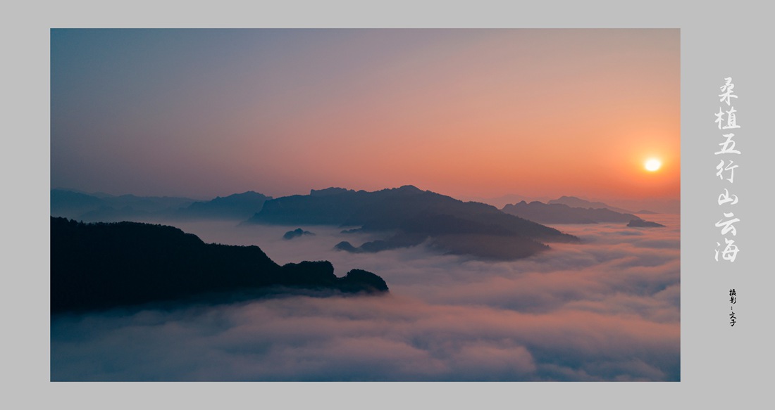 桑植五行山云海
