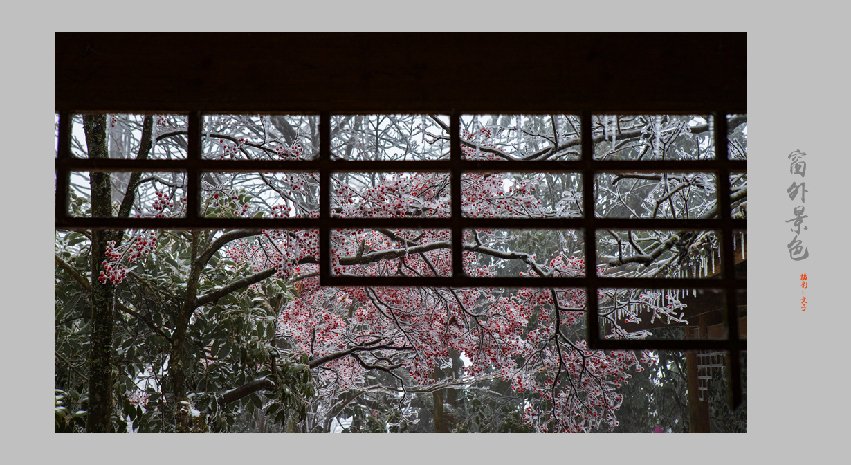 窗外景色·