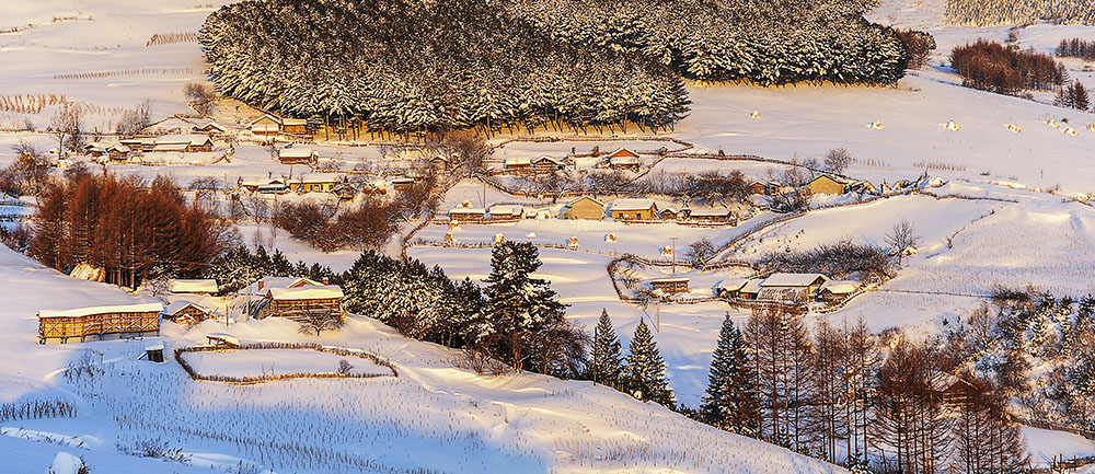 关东雪村-----魅力松岭