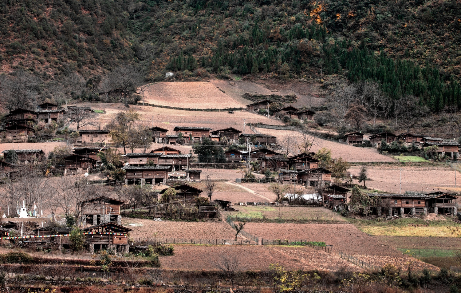 宁静的小村