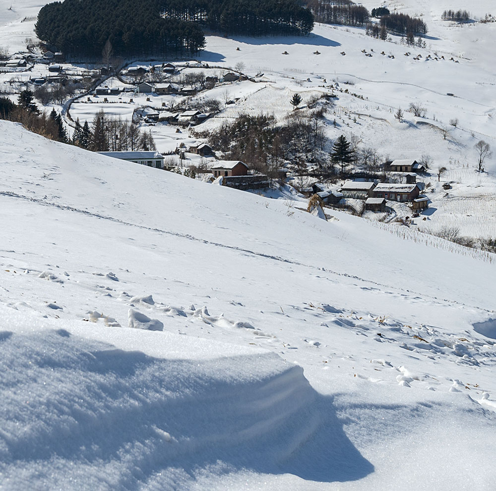 雪村2009