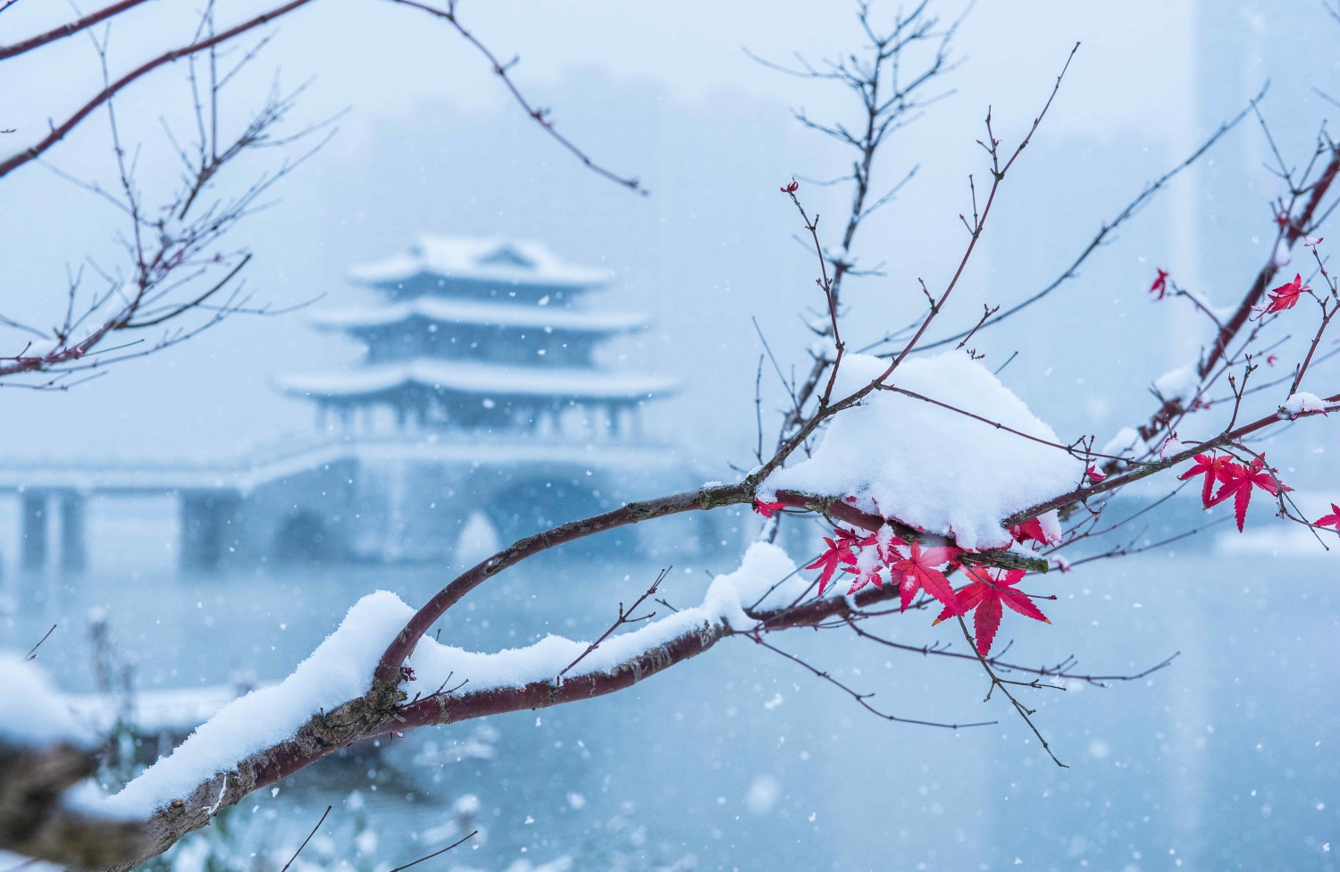 雪舞