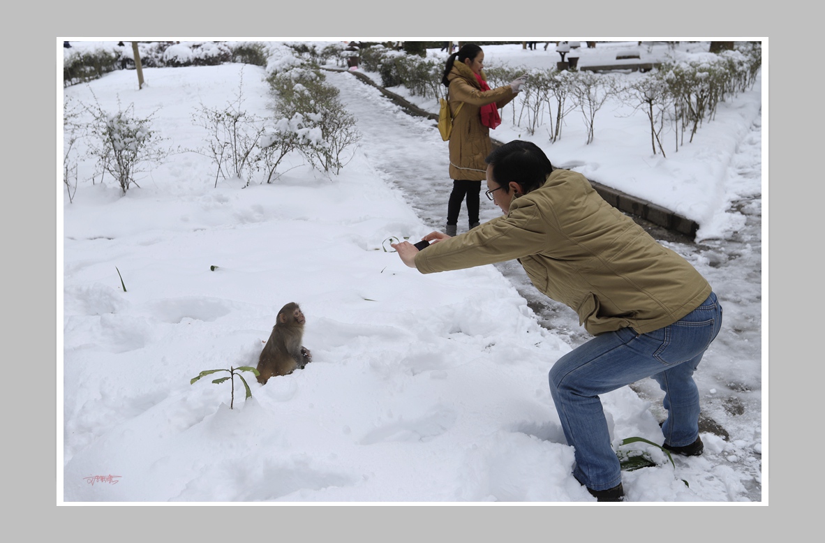 你的姿势比我还好看