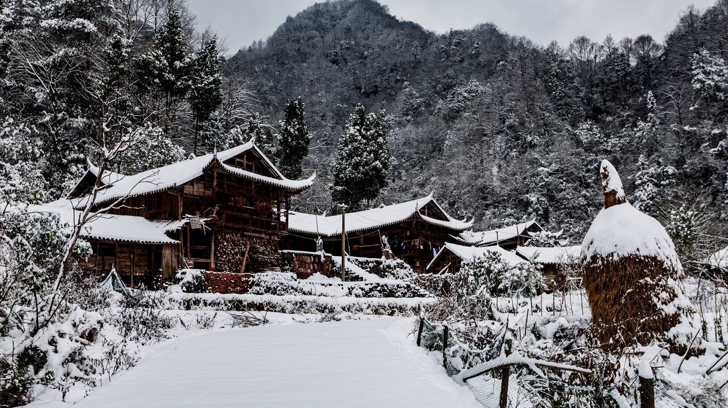 雪