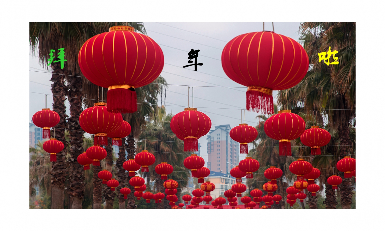 拜年啦—祝线路网老师及摄友们新年快乐！