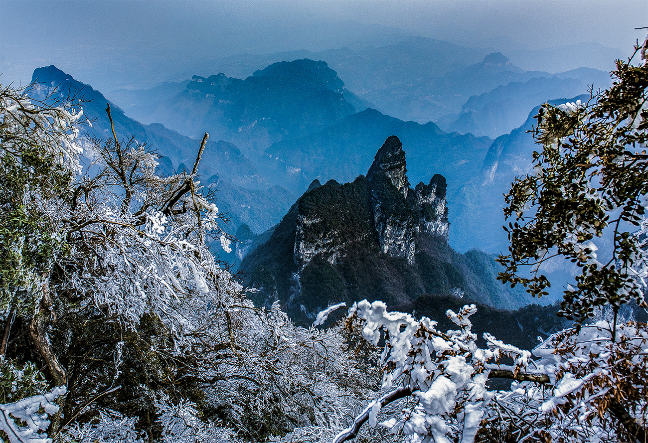 雪中仙界