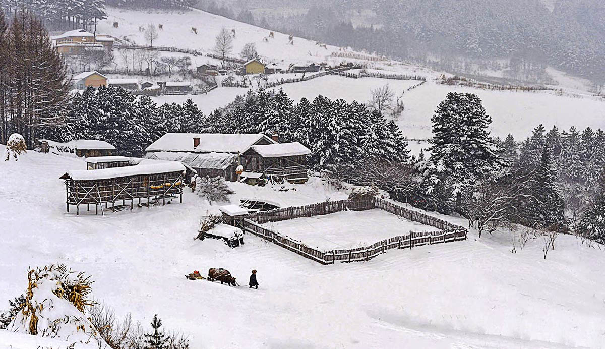雪村正月