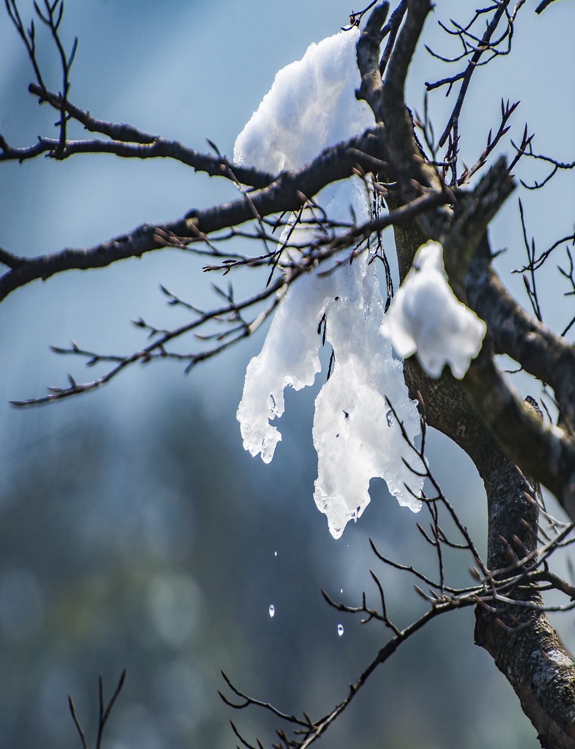 残雪消融