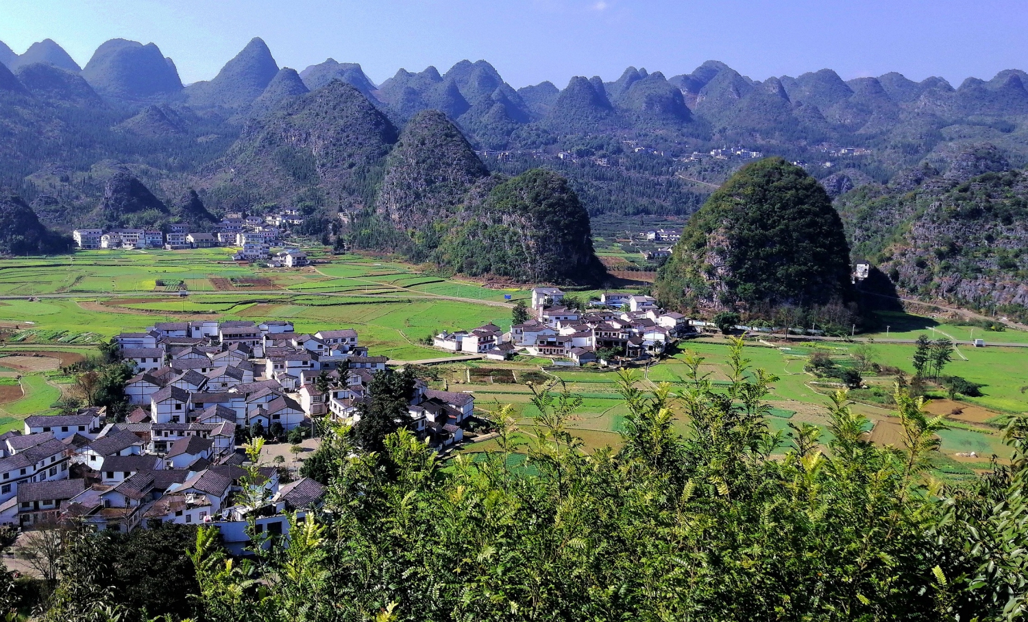 田园