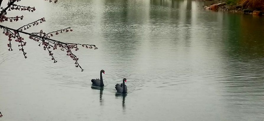 春早
