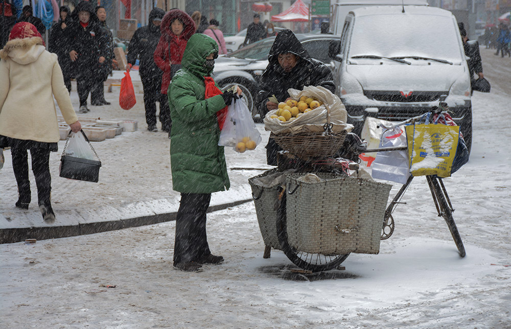白雪白梨