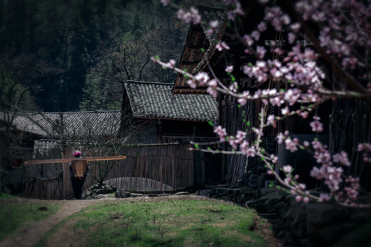 山村春色