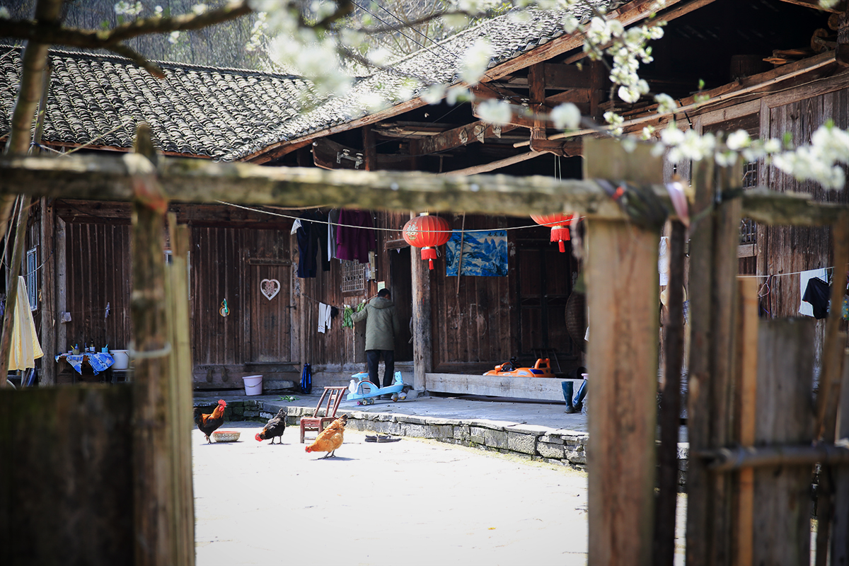 农家小院
