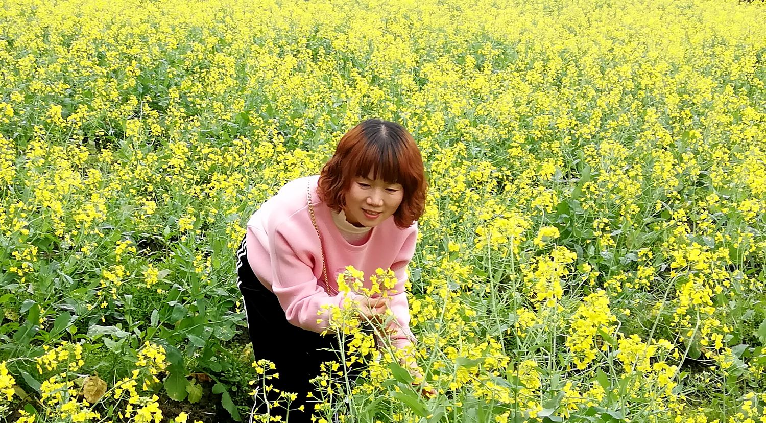 在那油菜花盛开的地方·····