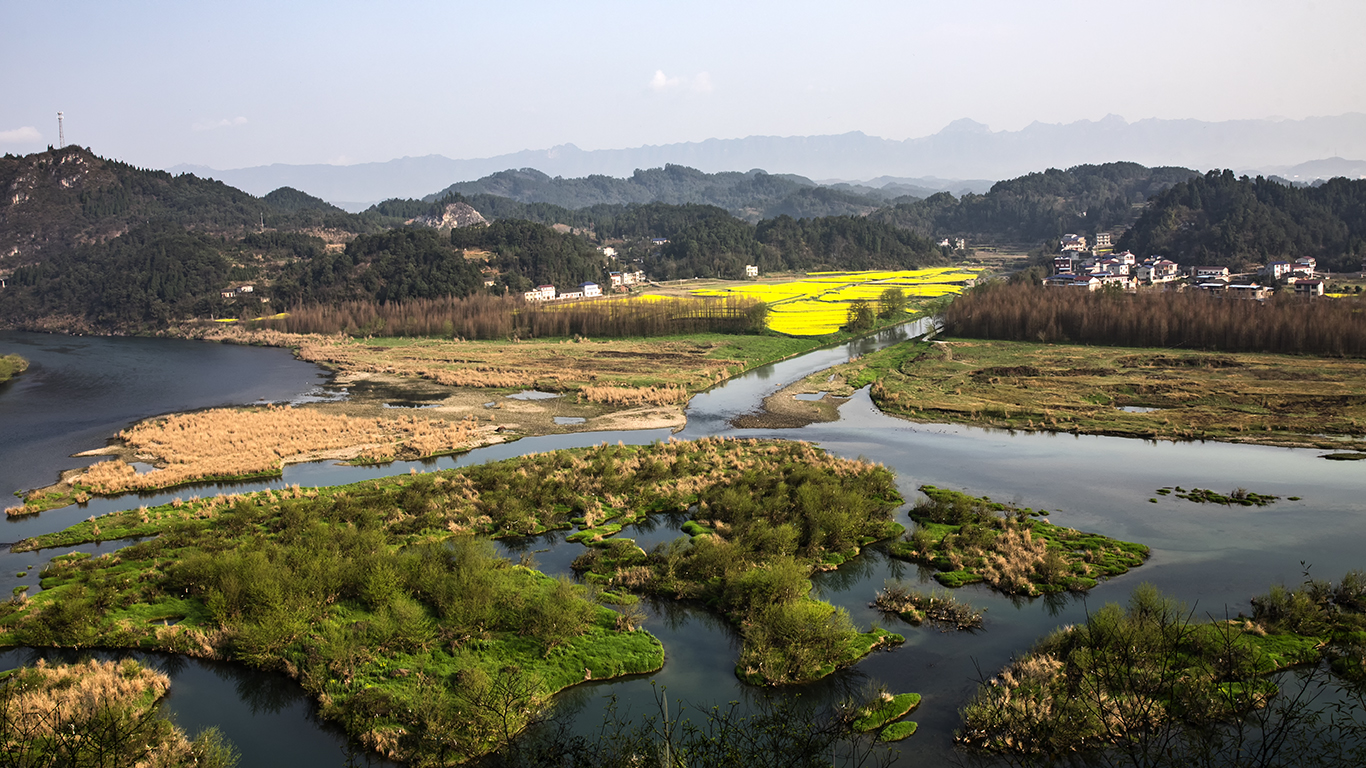 郁郁葱葱