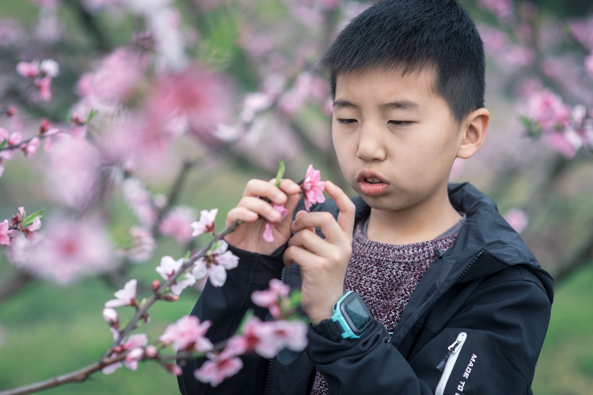 桃花林下读书郎