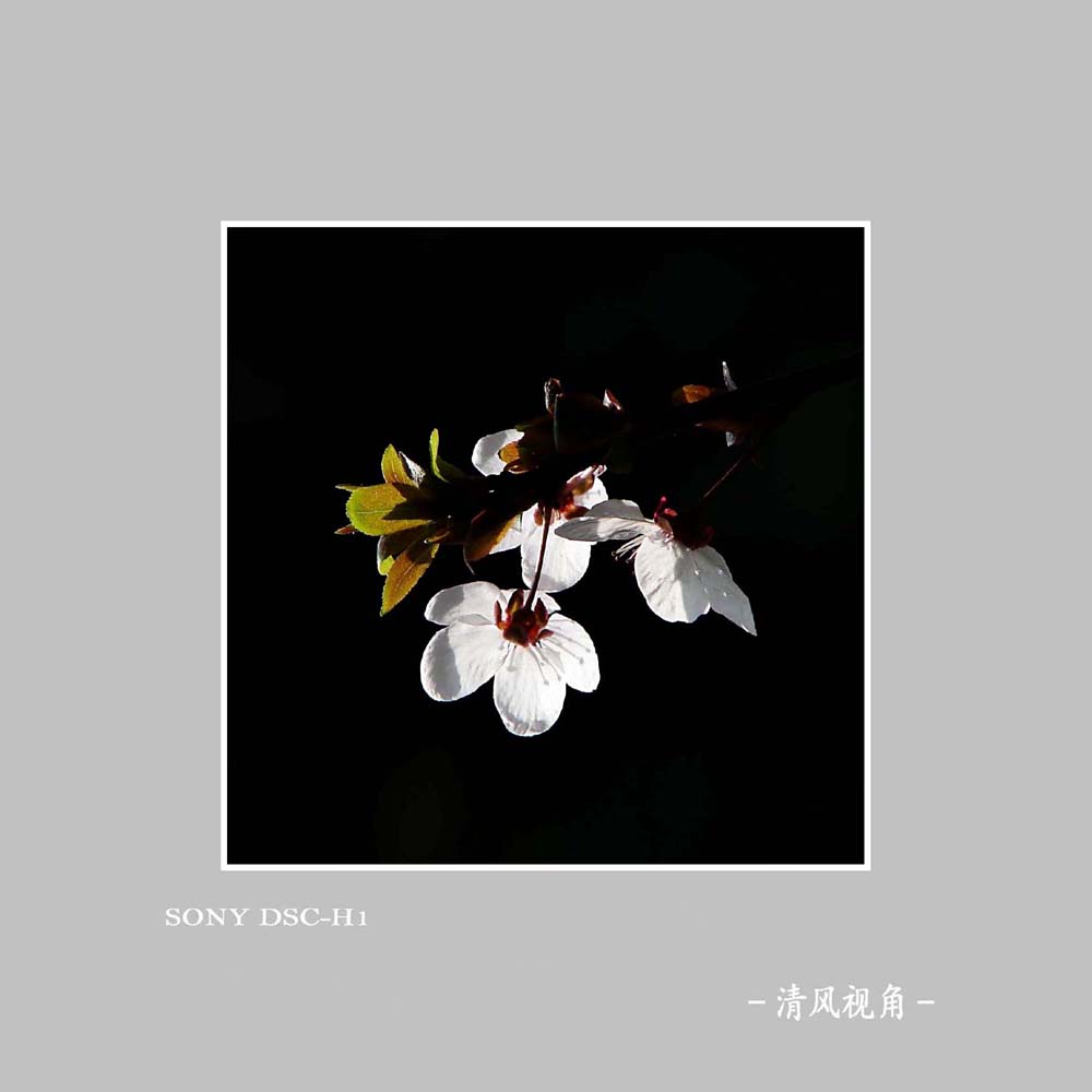 无题